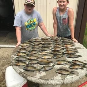 Meet your Posher, Leigh ann